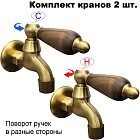 Дуб