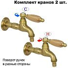 Дуб