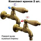 Ясень