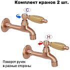 Дуб